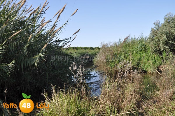 bayara visiting (24).JPG